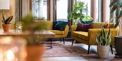 Voor het raam staan twee gele banken met kussentjes in het Lindenberg Cafe